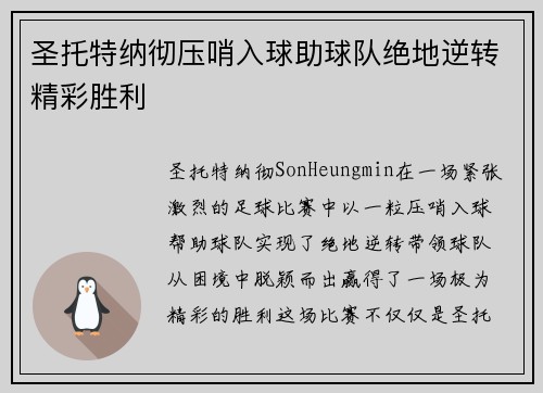 圣托特纳彻压哨入球助球队绝地逆转精彩胜利